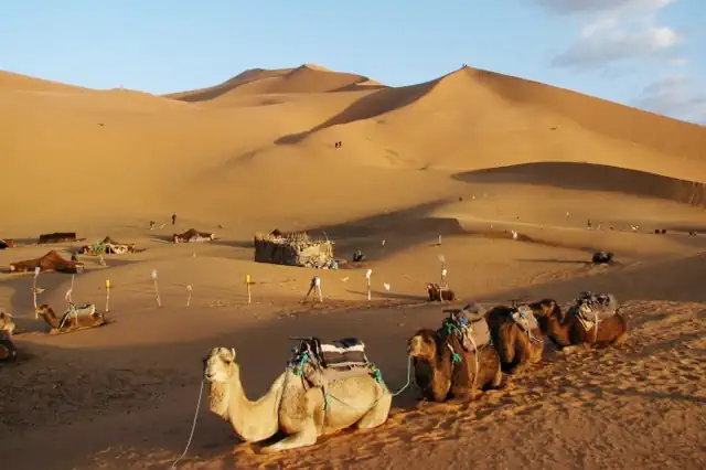 Excursion privada a tanger desde tarifa Viaja a Marruecos por primera vez desde Tarifa Una excursion para descubrir el Norte de Africa con guia y visitas