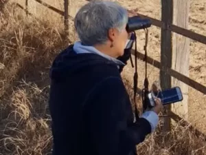 Excursión privada a Doñana