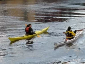 Tour Privado Kayak por Sevilla - Piragüismo Sevilla