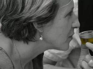 Oleoturismo en Sevilla - Catas de aceite en Sevilla